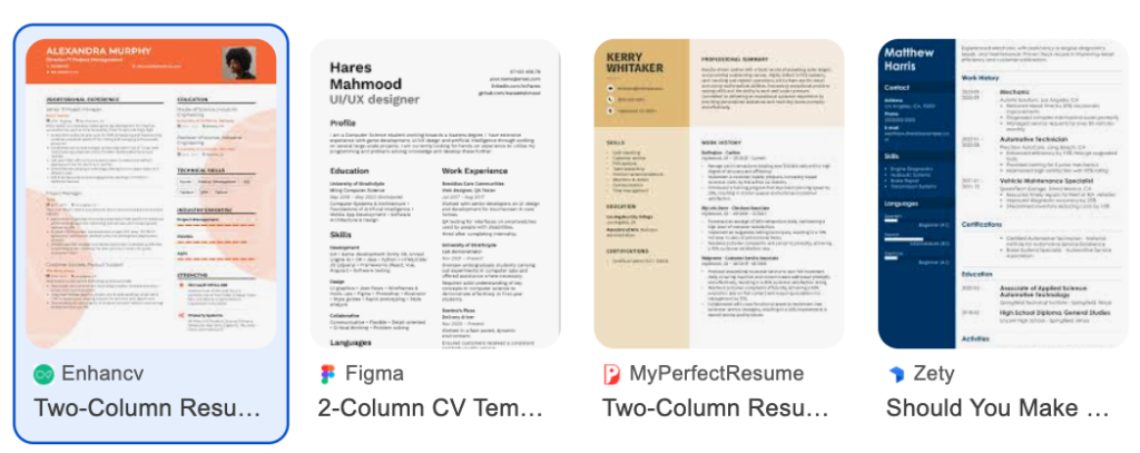 A screenshot of a two-column resume with a more visual layout.