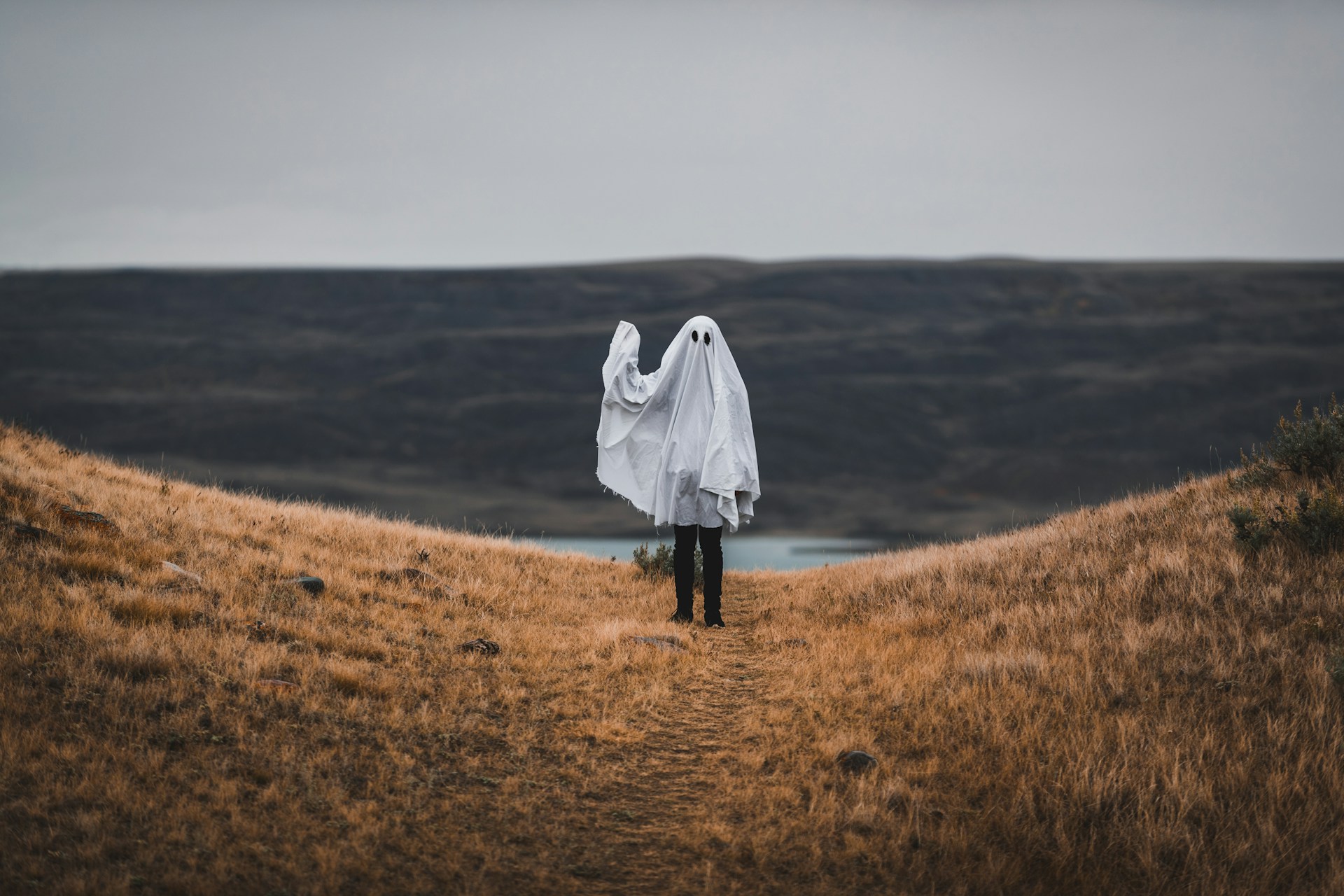 Lead image for not ghosting you, i promise A ghost (person in a sheet with black circles for eyes) waves while standing on a grassy hill in front of a beach in flat light.